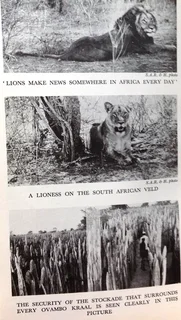 Old Africa Untamed - Lawrence G Green - Hardcover