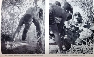 KARIBA - The struggle with the River God - Frank Clements - Hardcover