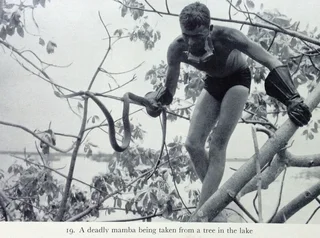 KARIBA - The struggle with the River God - Frank Clements - Hardcover