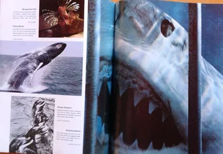 The Best of Life Magazine