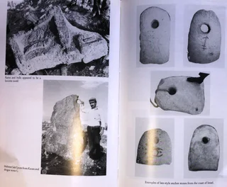 The Discovery of NOAH&#39;S ARK - David Fasold - Hardcover