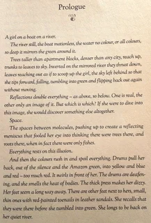 The Seed Thief - Jacqui  L&#39; Ange