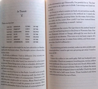 The Seed Thief - Jacqui  L&#39; Ange