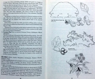 STAYING ALIVE - Ron Reid-Daly - Founding Commander of the Selous Scouts - Hardcover