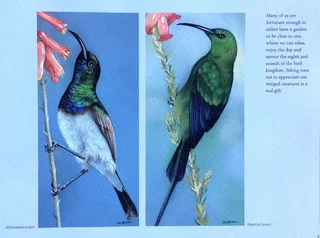 Heavens of Africa - Lisa Halstead Wildlife Artist - written by David Elliot Wien - Hardcover