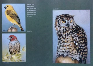 Heavens of Africa - Lisa Halstead Wildlife Artist - written by David Elliot Wien - Hardcover