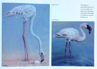 Heavens of Africa - Lisa Halstead Wildlife Artist - written by David Elliot Wien - Hardcover