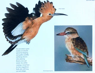 Heavens of Africa - Lisa Halstead Wildlife Artist - written by David Elliot Wien - Hardcover