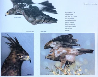 Heavens of Africa - Lisa Halstead Wildlife Artist - written by David Elliot Wien - Hardcover