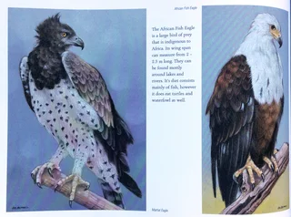 Heavens of Africa - Lisa Halstead Wildlife Artist - written by David Elliot Wien - Hardcover