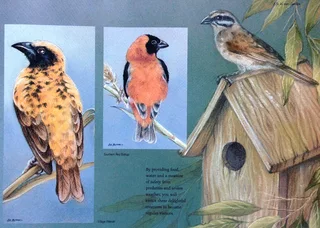 Heavens of Africa - Lisa Halstead Wildlife Artist - written by David Elliot Wien - Hardcover