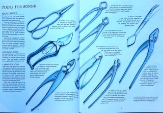 Bonsai in South Africa - The art of growing and styling bonsai - Rudi Adam - Hardcover