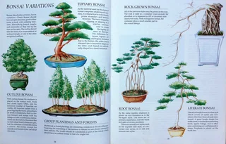 Bonsai in South Africa - The art of growing and styling bonsai - Rudi Adam - Hardcover