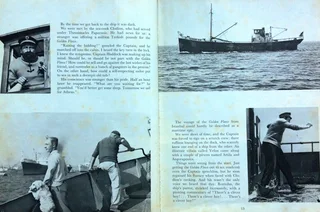 Tintin and the Golden Fleece - Based on Herges Characters - The Book of the Film - Hardcover Methuen