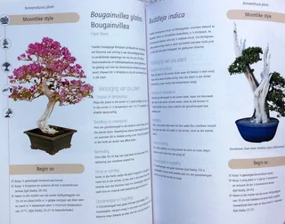 Sukses met Bonsai - David Squire - Kweek eksotiese miniatuurbome in jou huis