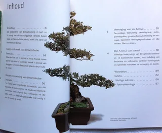 Sukses met Bonsai - David Squire - Kweek eksotiese miniatuurbome in jou huis