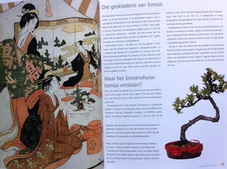 Sukses met Bonsai - David Squire - Kweek eksotiese miniatuurbome in jou huis