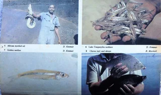 Fishes of Kariba - Dale Kenmuir