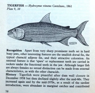 Fishes of Kariba - Dale Kenmuir
