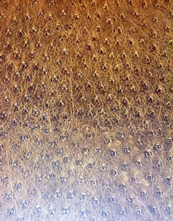 Very large book - africa - photography by Dieter Blum - text by Gisela Bonn - book signed D Blum