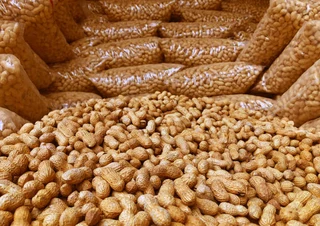 Peanuts - Ad posted by AgriSJG