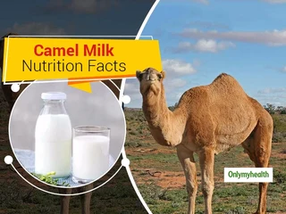 Camel Milk