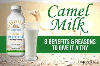Camel Milk