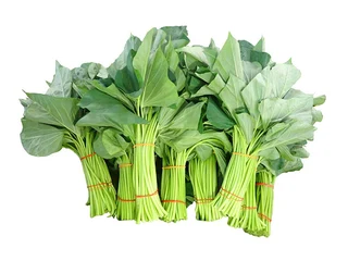 Sweet Potatoes Seeds/Vines/Runners