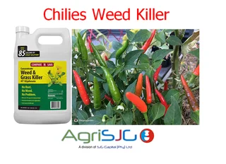 Weed Killers / Herbicides