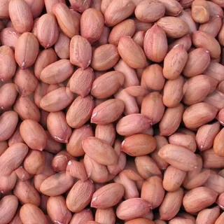 Peanuts / Groundnuts
