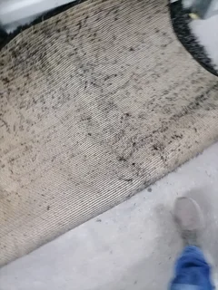 A 3D carpet made in turkey 160 ×230