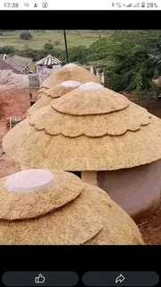 Thatch Roofs and Repairs 0737322227