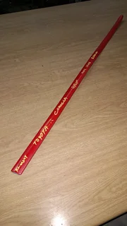 Toyota Corolla Runx Right Front Door Beading