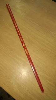 Toyota Corolla Runx Left Front Door Beading