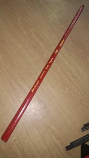 TOYOTA COROLLA RUNX LEFT FRONT DOOR BEADING