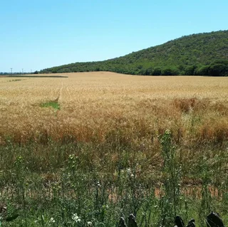 We buy farms  and  Mines