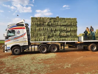 Lucerne Small For Sale