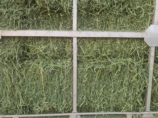 Lucerne Small For Sale