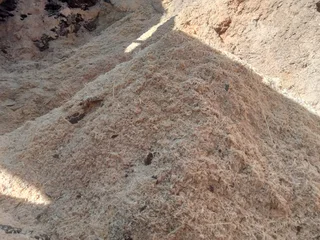 Quality pine sawdust for sale.