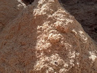 Quality pine sawdust for sale.