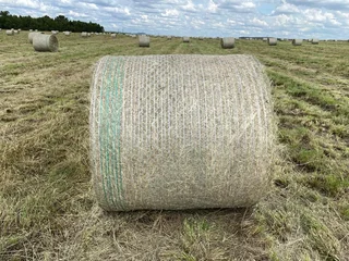 Eragrostis Round Bales for Sale