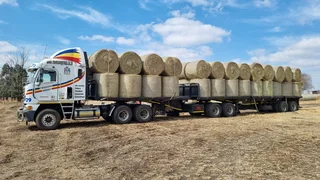Eragrostis Round Bales for Sale