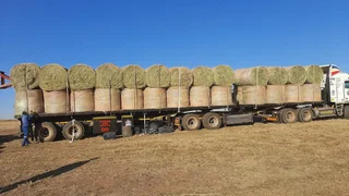 Eragrostis Round Bales for Sale