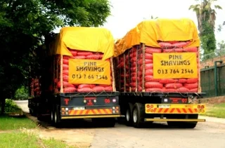 Wood shavings for sale