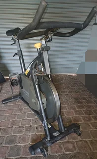 Johnson P8000 Spin Bike