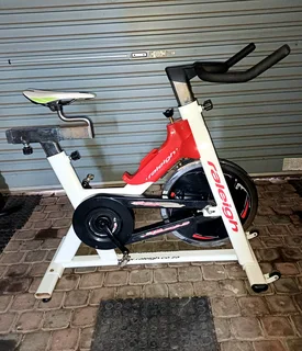 Raleigh Spin Bike