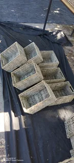 BASKET&#39;S MANUFACTURER