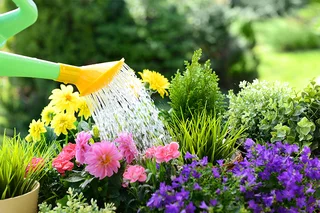 Housekeeper &amp; Domestic worker