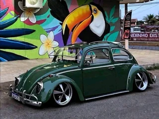 Beetle eyelids / Wheels 17