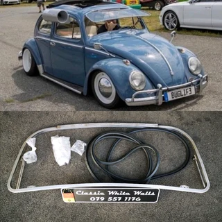 Beetle Safari / Pop out